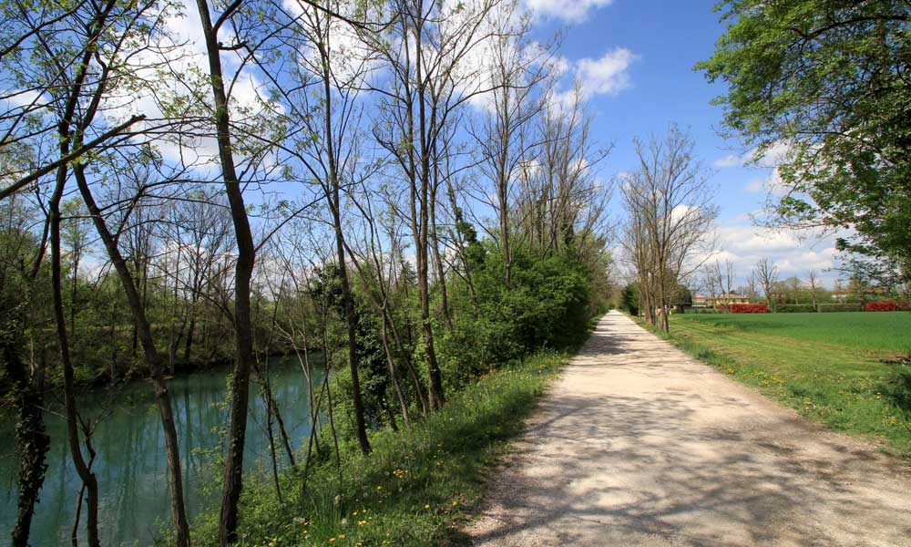 iFarma-Treviso-2