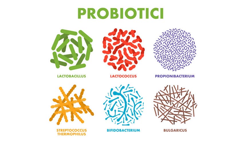 probiotici probiotici