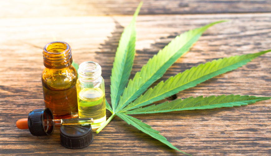 cannabis-terapeutica-Federdolore cannabis-terapeutica-Federdolore