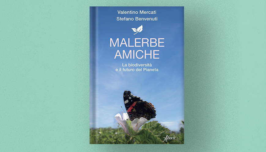 Cover_MalerbeAmiche Cover_MalerbeAmiche