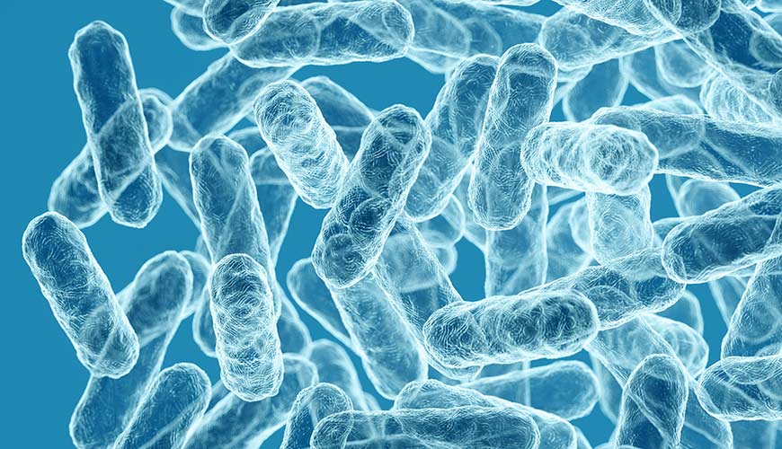 microbiota